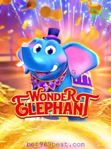 WonderElephant: A Incrível Jornada no Mundo dos Elefantes